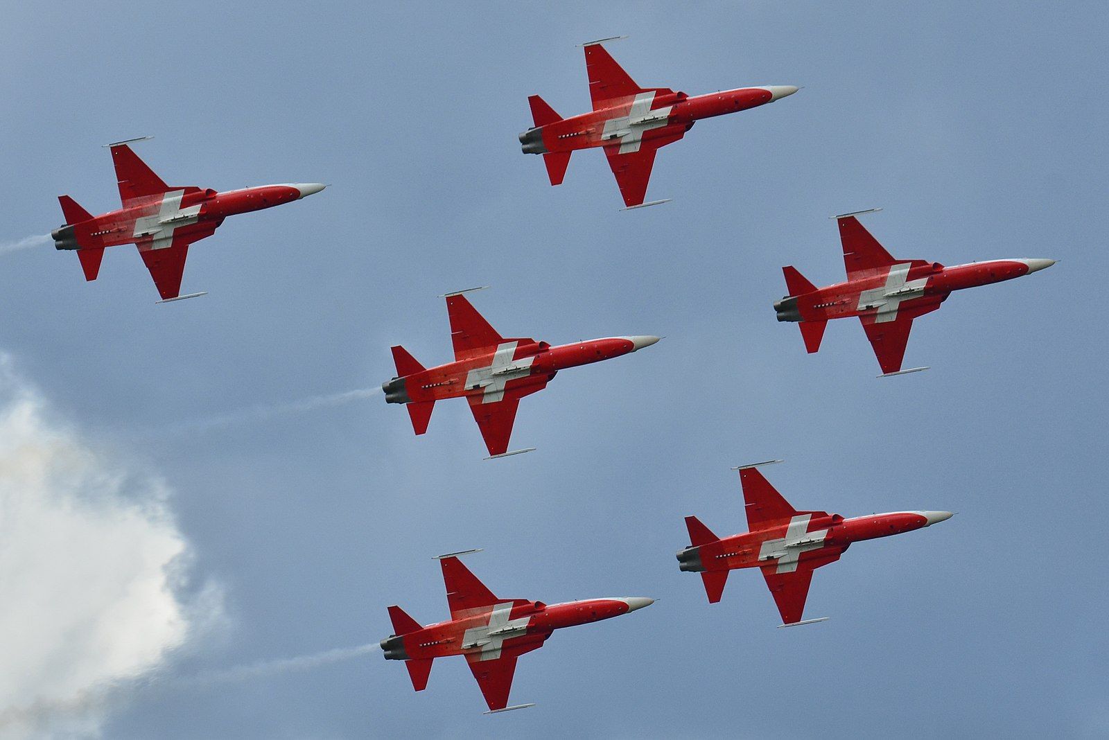 Council of State asks Patrouille Suisse to use F-5E Tiger II